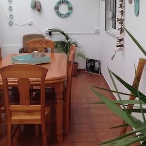 Hostel Kaktus House